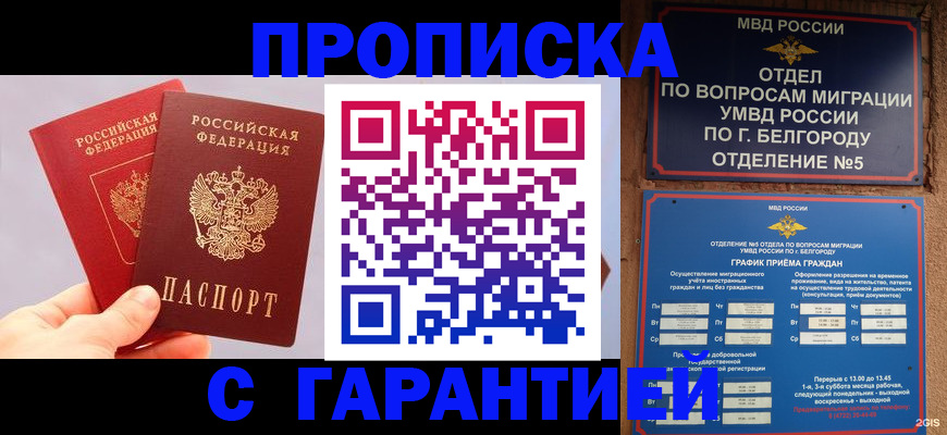 прописка 2025 в Котельниках